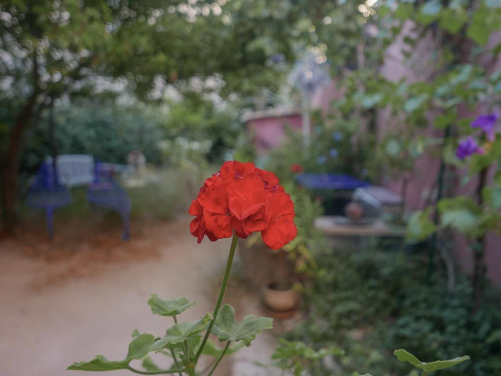 Vieux Port Panier Jardin Hotel มาร์กเซย ภายนอก รูปภาพ