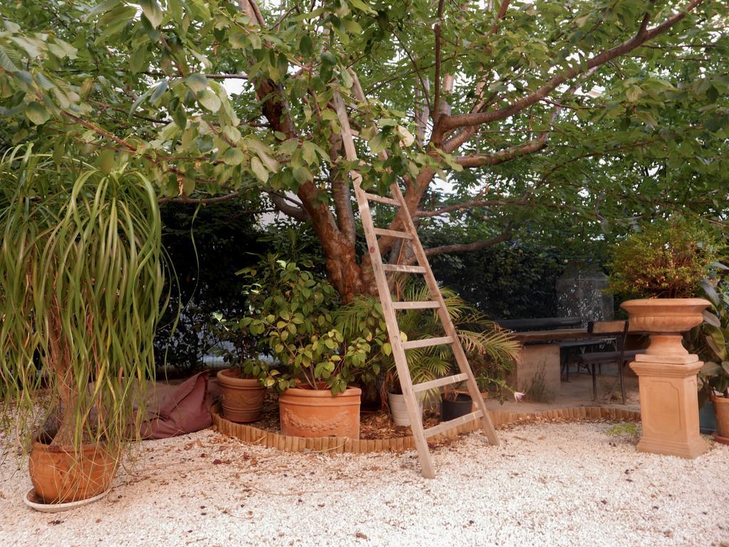 Vieux Port Panier Jardin Hotel มาร์กเซย ภายนอก รูปภาพ