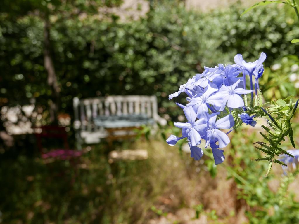 Vieux Port Panier Jardin Hotel มาร์กเซย ภายนอก รูปภาพ
